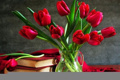 Happy Rose Day 2016 HD Wallpapers   Happy Valentine's Day 2016 ...