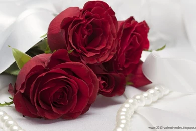 Top Red Roses Wallpapers Hd Images For Pinterest