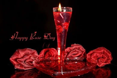 Happy Rose Day 2016 HD Wallpapers   Happy Valentine's Day 2016 ...