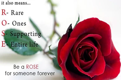 Happy Rose Day Wallpapers {images HD}   Popular Wishes