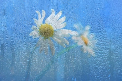 Rainy Window W8 Wallpapers By Stolichenaya On DeviantArt