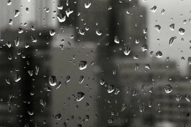 Rain Mobile Wallpapers