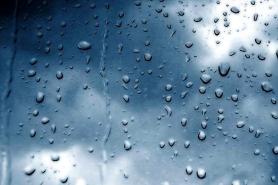 Rainy Window Mobile Wallpapers 4605