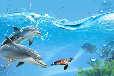 Underwater Fish Wallpapers >> Backgrounds With Quality HD