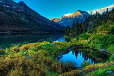 Dream Spring Hd Dream Spring Nature Landscapes Season Spring Hd ...