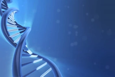 ДНК Живые Обои   YouTube