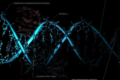 Download Dna Molecule Wallpapers 1280x1024