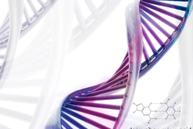 Download Dna Science Free Wallpapers 1280x1024