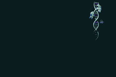 Download Dna Double Helix Free Separated Source Submit Wallpapers ...