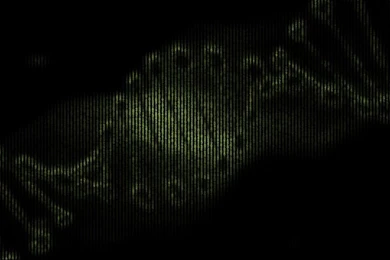 Dreamscene.org   Gallery/Download   Free Dreamscenes, Video Loops ...