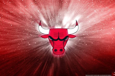 Chicago Bulls Wallpapers HD