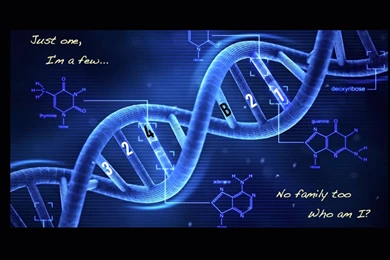 OB DNA Wallpapers   Orphan Black Photo (37767987)   Fanpop   Page 12