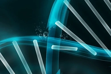 Sony Xperia Z1, ZL, Z, Samsung Galaxy S4, HTC One Dna Wallpapers ...