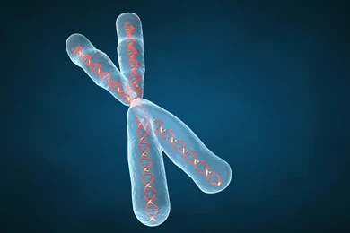 Chromosome Dna Pattern Genetic 3 d Psychedelic Wallpapers ...