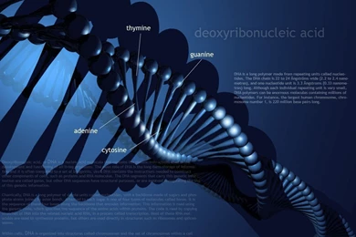 DNA By Padey89 On DeviantArt
