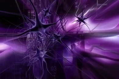 COOL 3D WALLPAPER DESKTOP WLF1008