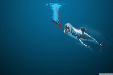 Download Children Whale Wallpapers 1680x1050