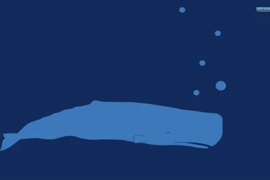 Blue Whale Wallpapers   Minimalistic Wallpapers