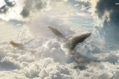 Whales Flying In The Clouds Wallpapers   Fantasy Wallpapers