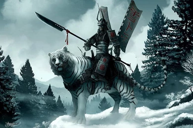 Samurai Ghost Wallpapers High Definition