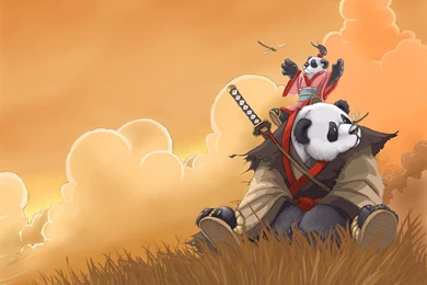 Animal Katana Panda Samurai HD Wallpapers