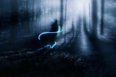 Wallpapers For Fantasy Wolf Desktop Backgrounds