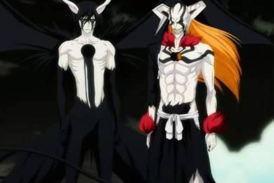 Ulquiorra And Arrancar Ichigo Bleach Backgrounds For iPad Air 2 ...