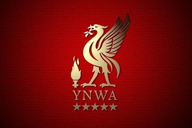 LFC Wallpapers   Liverpool F.C. Wallpapers (23510828)   Fanpop