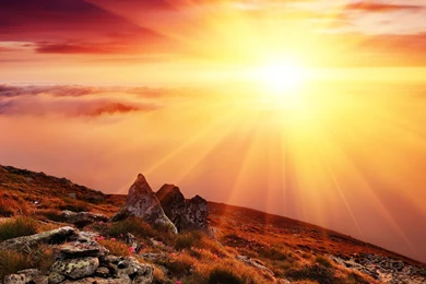 Sunrise Wallpaper Backgrounds