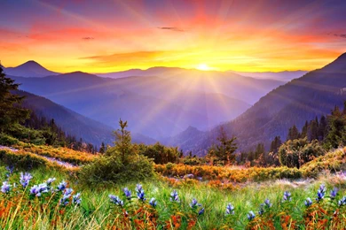 Sunrise Wallpapers   Manualwall.com