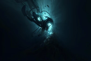 Underwater Wallpapers