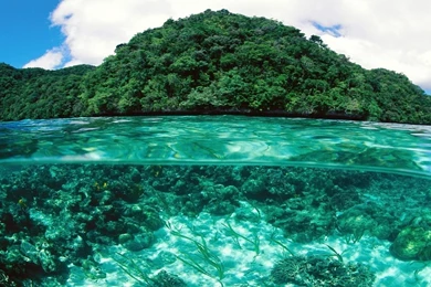 Hd Underwater Desktop Wallpapers