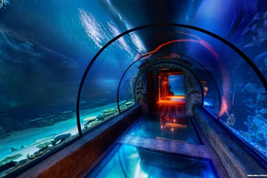 Las Vegas Wallpapers