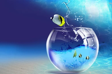 Underwater Fish Bowl Wallpapers   Digital Art Wallpapers