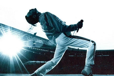 Music Queen Freddie Mercury Hd Wallpapers   (