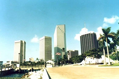 Miami HD Wallpapers