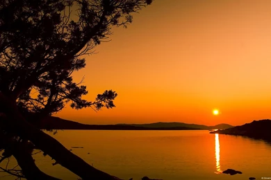 Desktop Backgrounds   Microsoft Windows