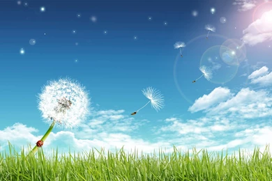 Fresh Sun Light Wallpapers