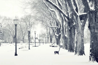 Snowy Park HD Desktop Wallpapers : High Definition : Fullscreen ...