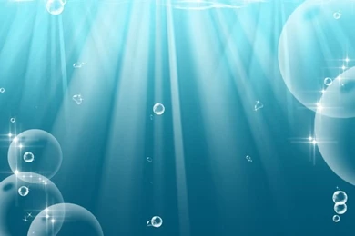 Under The Sea On Pinterest