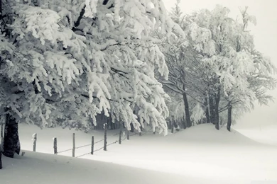 Snowy Landscape HD Desktop Wallpapers : High Definition ...