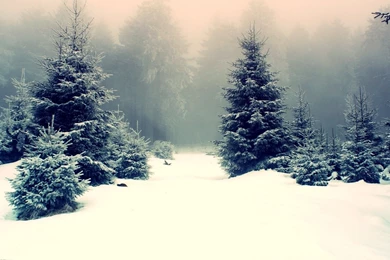 Vancouver Snow Mountains   Wallpaper.