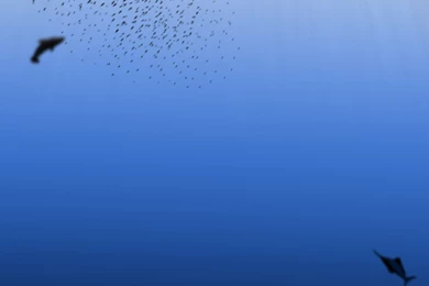 Under The Sea Backgrounds By Krissar On DeviantArt