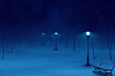 Winter Night Snowy HD Images Wallpapers 3992   HD Wallpapers Site