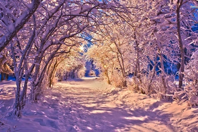 Snowy Alley Wallpapers   Nature Wallpapers