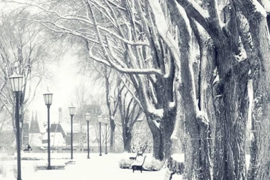 Snowy Park HD Desktop Wallpapers : High Definition : Fullscreen ...