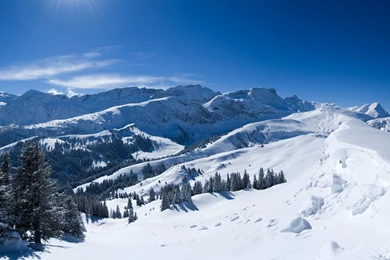 Winter Wallpapers By Udhao.net