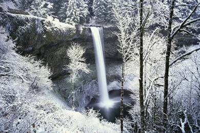 YouWall   Snowy Forest Waterfall Wallpapers   Wallpaper,wallpapers ...