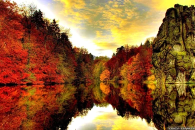 Autumn Woods Wallpapers   Seasonal   Crazy Frankenstein