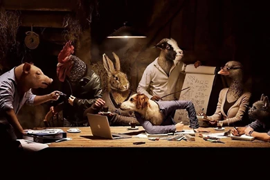 Wallpapers Strange Funny Weird Crazy Absurd Awesome 720   1920 X ...